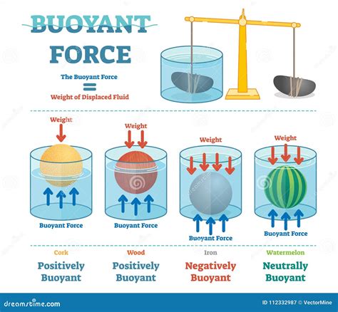 Buoyant Force Diagram