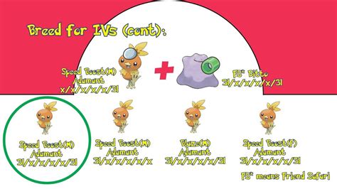 Gen 6xy Pokémon Iv Breeding Guide With Pictures Youtube