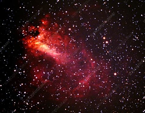 The Swan Nebula M17 Stock Image R8200436 Science Photo Library