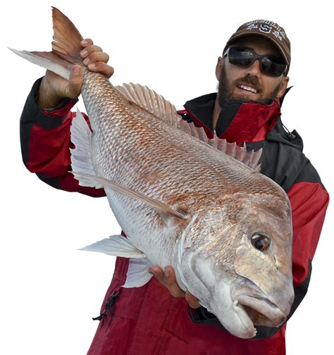 How to catch more fish - The Fishing Website