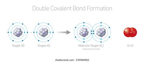 1295 Covalent Bond Royalty Free Photos And Stock Images Shutterstock