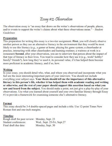 Observation Essay 10 Examples Format Pdf Examples