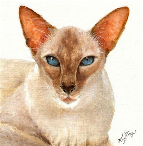 Original Oil Portrait Painting Siamese Cat Artwork Art From Etsy