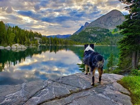 17 Most Beautiful Lakes In Montana According To Our Readers
