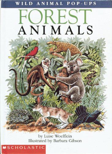 Forest Animals Wild Animal Pop Ups By Woelflein Luise New Hardcover
