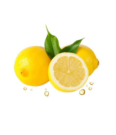 Oregon Fruit Products Releases Meyer Lemon Puree For Fermentation — New