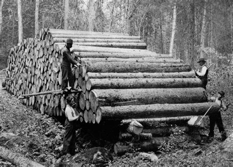 Logging History Lumber Scaling Rules And Tools The Adirondack Almanack