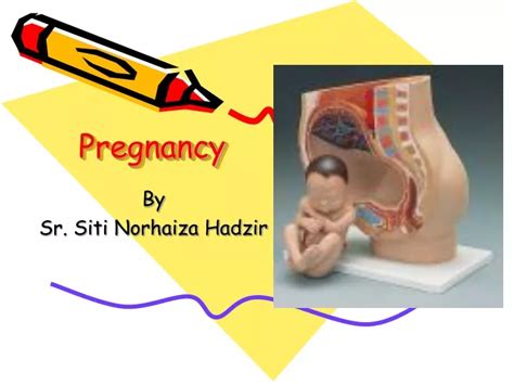 Ppt Pregnancy Powerpoint Presentation Free Download Id9165014