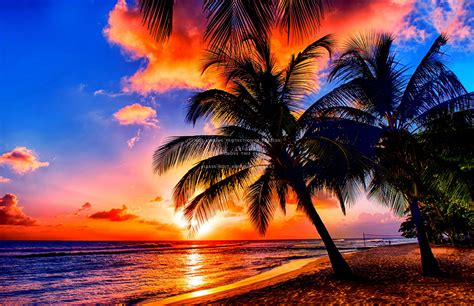 Tropical Sunrise Wallpapers Top Những Hình Ảnh Đẹp