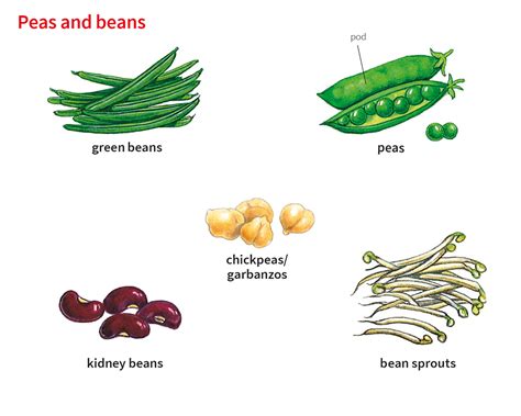 Pod Noun Definition Pictures Pronunciation And Usage Notes Oxford