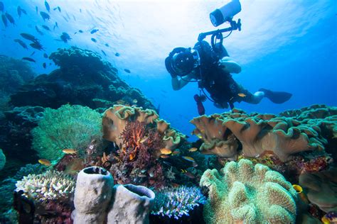 Underwater Photography Tips Diving Squad