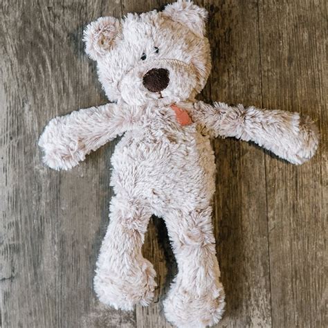 Introducing The Kimberbear A Little Stuffed Bear For Children In Need