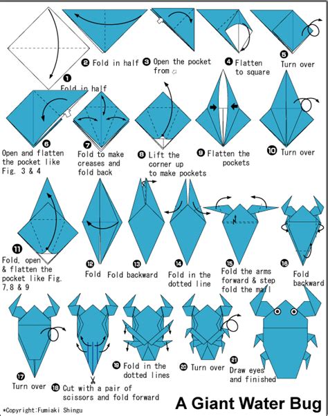 Giant Water Bug Easy Origami Instructions For Kids