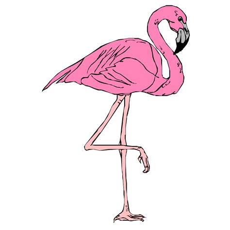 Clip Art Flamingo Svg Free 267 Svg Images File