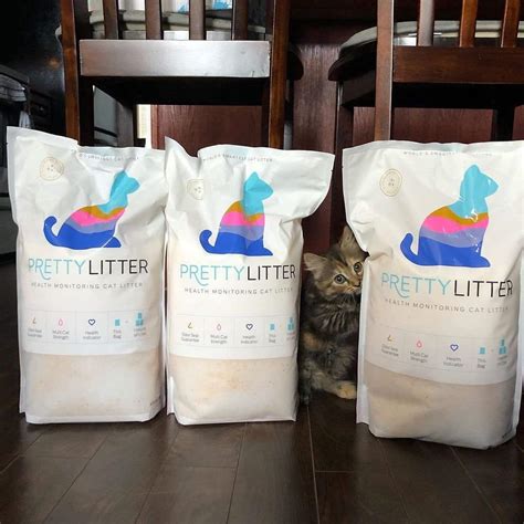 Pretty Litter Review Must Read This Before Buying