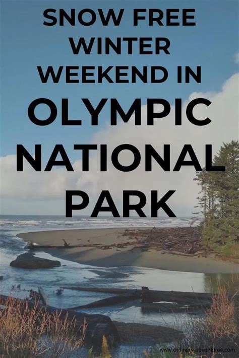 Complete Guide To Winter In Olympic National Park Ordinary Adventures