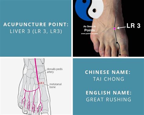 Acupuncture Point Liver 3 Lv 3 Acupuncture Technology News