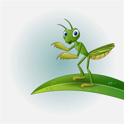 Leaf Grasshopper Cartoons Illustrations Royalty Free Vector Graphics
