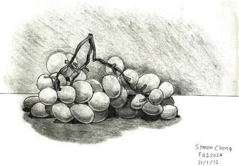 Grapes Sketch By Simonarty On Deviantart