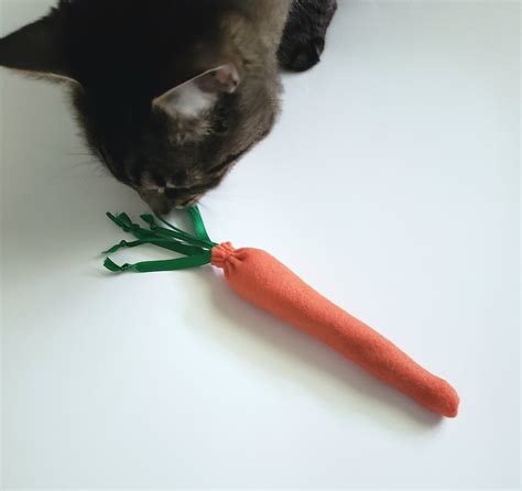 Organic Catnip Carrot Cat Toy Etsy