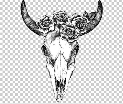 Texas Longhorn Drawing Human Skull Symbolism Bull Png Clipart Art