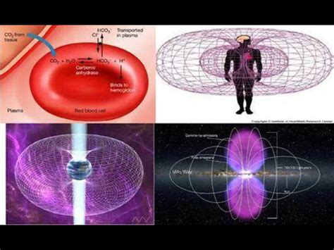 As Above So Below Torus Heart Cell Earth Galaxy Sacred Geometry