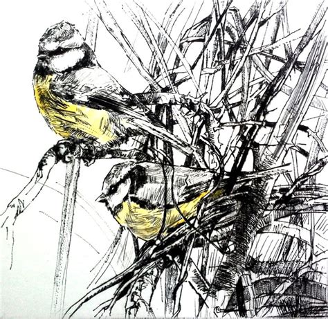 We did not find results for: Fauna: Feather Drypoints - EMERSON MAYES - Fine Artist ...