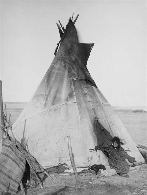 The Lakota And The White Buffalo Legend White Buffalo Kids