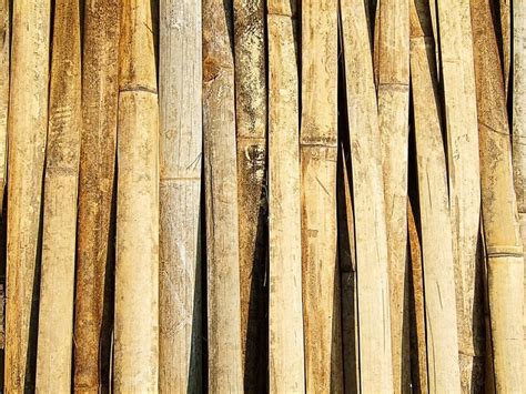 20 Best Free Bamboo Textures 2023 Freehtmldesigns