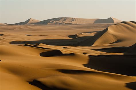 Fotos Gratis Paisaje árido Desierto Duna De Arena Habitat Sáhara