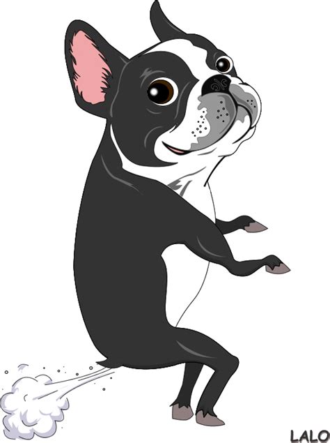 Boston Terrier Puppy Boston Terrier Funny Boston Terrier Art Boston