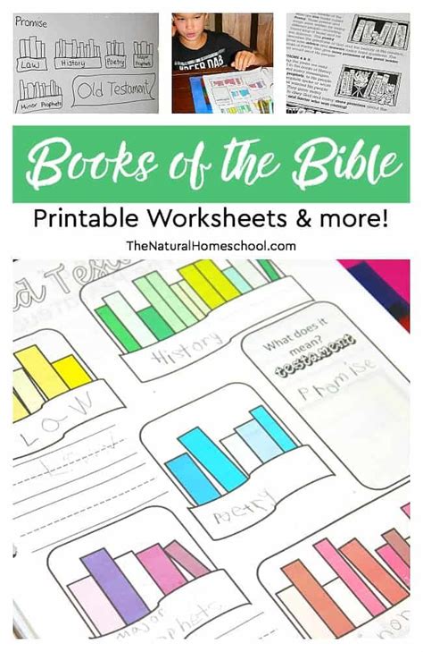 Teaching The Books Of The Bible Worksheets