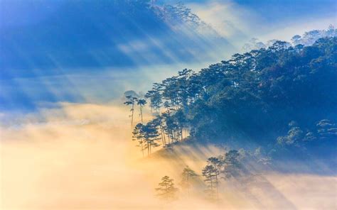 Nature Landscape Sun Rays Vietnam Sunrise Forest Mist Wallpapers