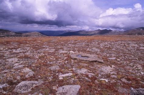 Filermnp Trail Ridge Road Tundra Wikimedia Commons