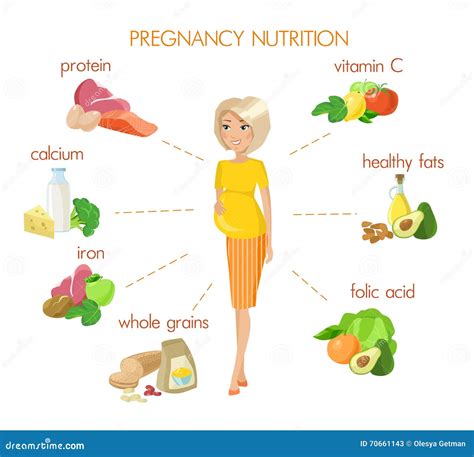 Detailed Pregnancy Nutrition Infographic Stock Vector Illustration Of