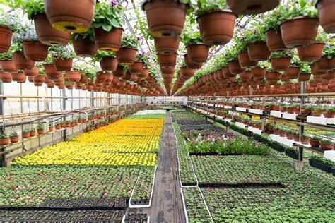 Horticulture Most Critical Common Questions