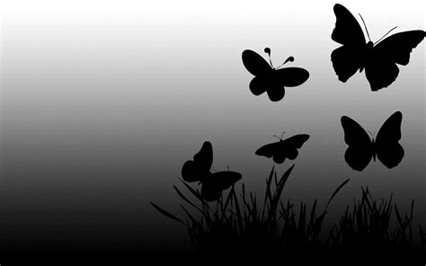 We did not find results for: Black Butterfly Backgrounds - Wallpaper Cave