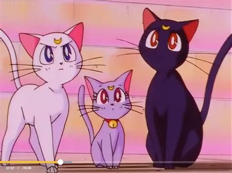 Sailor Moon In 2020 Sailor Moon Aesthetic Sailor Moon Cat Sailor Moon