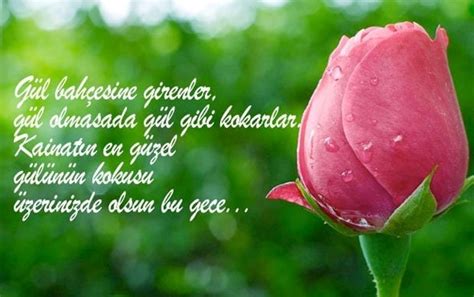 Berat kandili'nin, ihtiyacımız olan huzuru ve mutluluğu ülkemize getirmesini diliyorum. Berat Kandili mesajları - En güzel Berat Kandili mesajları...