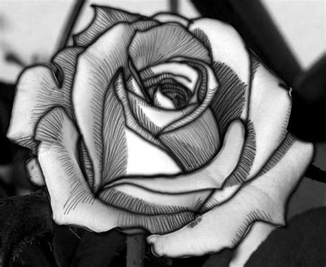 Feel free to explore, study and enjoy paintings with paintingvalley.com. s19opu: white rose drawing