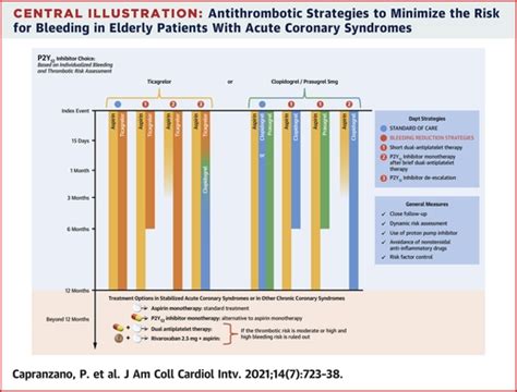 Antithrombotic Management Of Elderly Patients With Coronary Artery