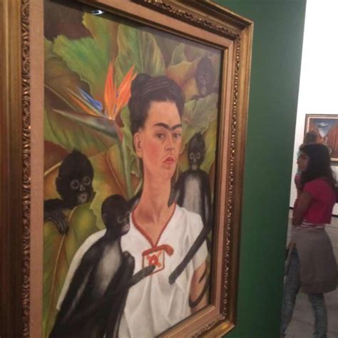 Exposición De Frida Kahlo Batiendo Récords En Sao Paulo — Carpe Diem Today