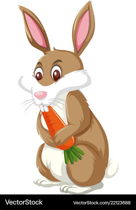 A Rabbit Eating Carrot Royalty Free Vector Image