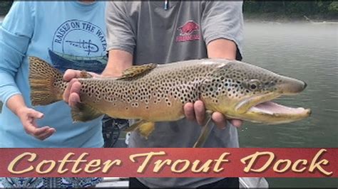 Arkansas White River Trout Fishing Report July 3 2019 Youtube