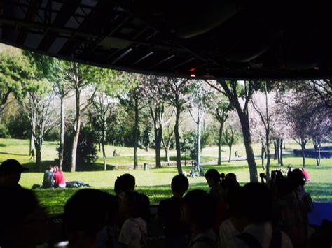 Search for text in self post contents. 跟著王子逛世博~好康比利時館與王妃摩納哥館＠搞怪王子的新聞台｜PChome 個人新聞台