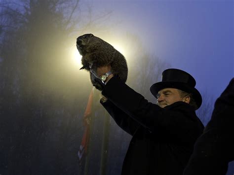 Groundhog Day 2023 - ArtemArizana