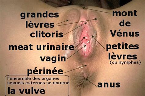 Techniques de masturbation féminine par Hélèna Sevigsky Vassilia