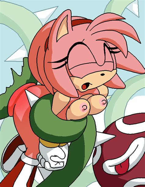 Rule 34 2014 Amy Rose Animated Anthro Areola Arms Down