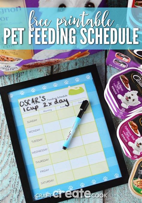 Diy Pet Feeding Schedule Printable Diy Stuffed Animals Dog Feeding