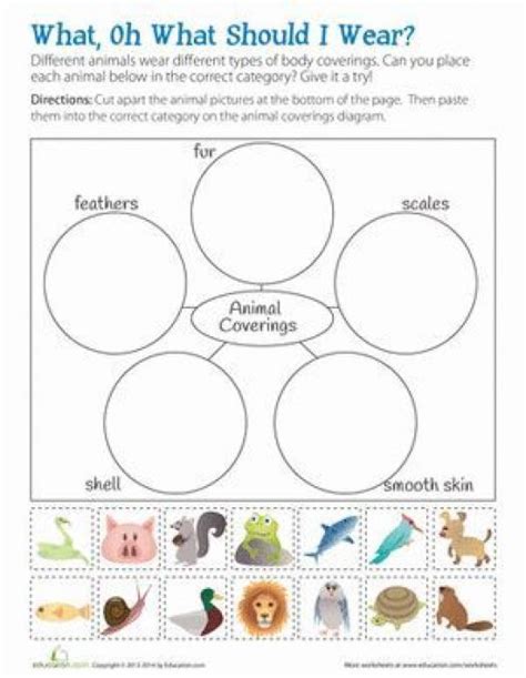 Mammals Worksheet Animal Coverings Kindergarten Science 1st Grade